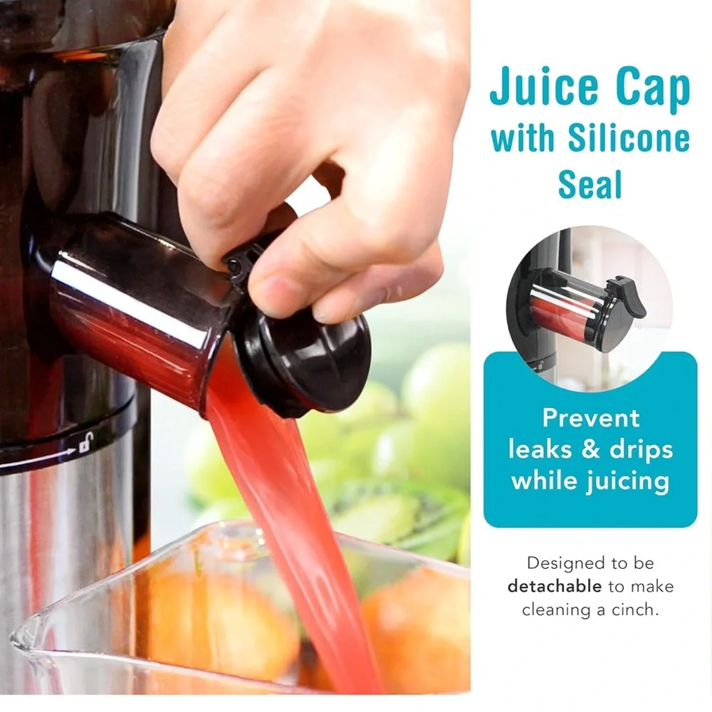 Shine Kitchen Co. Stainless Steel Juicer